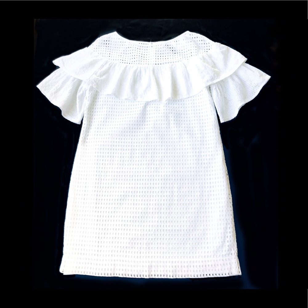 J.CREW Collection Ruffled Broderie Anglaise Dress - Picture 5 of 10